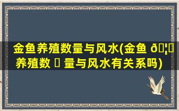 金鱼养殖数量与风水(金鱼 🦁 养殖数 ☘ 量与风水有关系吗)